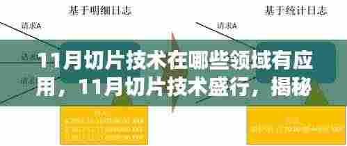 揭秘,11月切片技术在多领域的应用与价值盛行之处