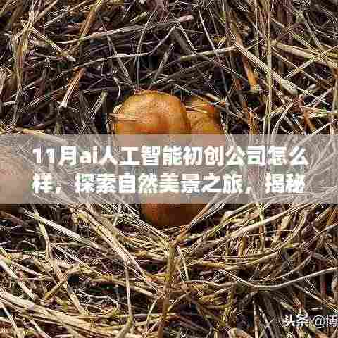 揭秘十一月AI人工智能初创公司的奇妙探索,与自然美景同行,追寻内心宁静与平和的旅程