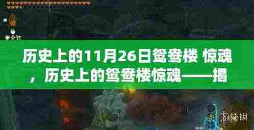 揭秘历史上的鸳鸯楼惊魂，惊魂时刻背后的秘密档案回顾（11月26日）