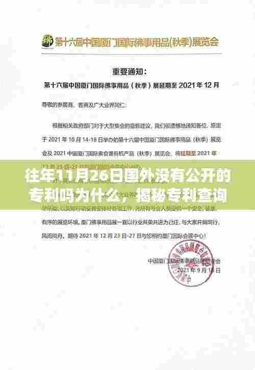 揭秘专利查询过程,如何在特定日期寻找未被公开的国外专利?往年11月26日专利揭秘之旅