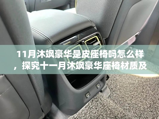 十一月沐飒豪华座椅,皮质之选及深度体验评价