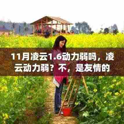 凌云动力暖风，友情之暖与性能解析