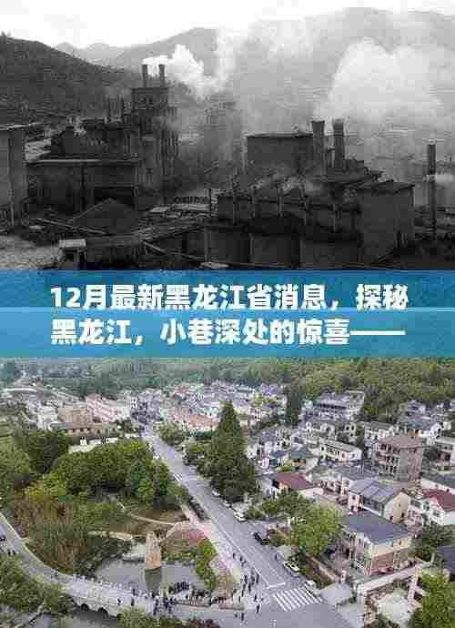 探秘黑龙江,十二月最新消息揭秘小巷深处的美味小店