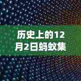 蚂蚁集团A股最新价格历史探索,查询步骤与数据深度解析(初学者与进阶用户指南)