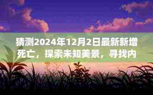 2024年12月2日奇迹之旅,探寻未知美景,寻找生命平静