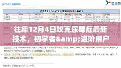 往年12月4日攻克尿毒症最新技术,初学者与进阶用户指南