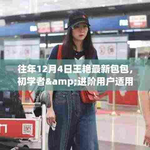 王艳最新包包选购指南,适合初学者与进阶用户的指南(往年12月4日更新)