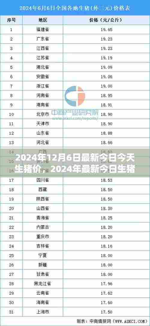 2024年最新今日生猪价格解析，入门指南与查询步骤