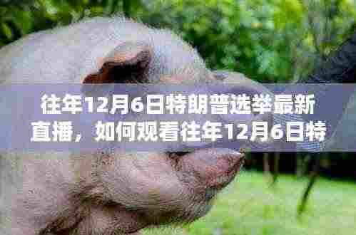 全步骤指南，观看往年12月6日特朗普选举最新直播回顾