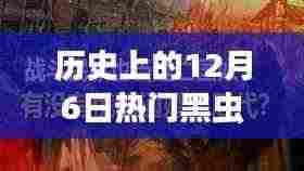 探寻热门黑虫背后的故事与争议,历史上的十二月六日回顾