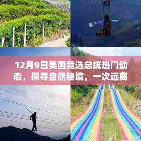 揭秘美国大选背后的绿色希望与探寻自然秘境的心灵之旅