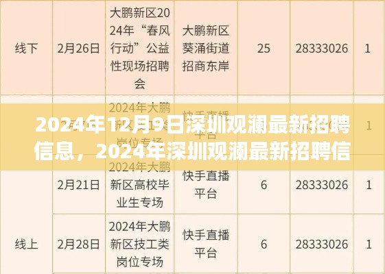 2024年深圳观澜最新招聘信息概览,职场人的新选择