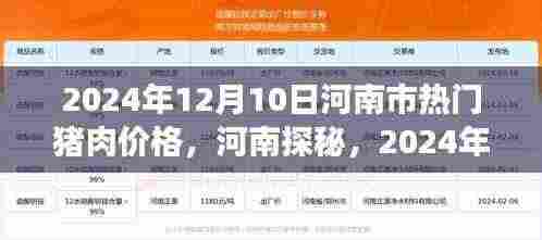 河南猪肉市场探秘，心灵之旅与价格微妙旅程的交织