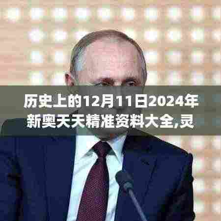 历史上的12月11日2024年新奥天天精准资料大全,灵活设计操作方案_P版4.375
