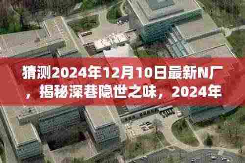 揭秘深巷隐世之味,2024年N厂最新探秘之旅揭秘之旅预告发布!