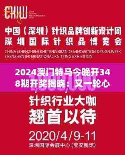 2024澳门特马今晚开348期开奖揭晓:又一轮心跳加速的时刻