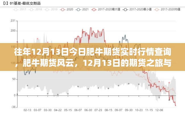 肥牛期货风云,实时行情查询与家的温暖在期货之旅中的交融