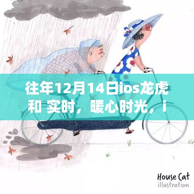 iOS龙虎斗与暖心时光,实时互动体验与温馨的陪伴