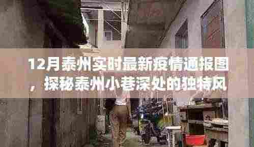 泰州疫情最新通报图与小巷深处的独特风味，疫情阴影下的小店故事探索