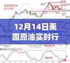 12月14日美国原油实时行情解析，市场洞察与个人观点
