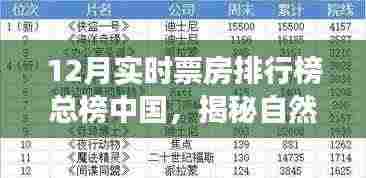 中国十二月票房巅峰之旅，自然之美与微笑的秘密港湾