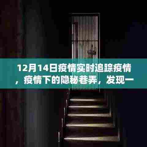 轻徙鸟举 第4页