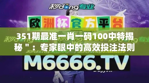 351期最准一肖一码100中特揭秘":专家眼中的高效投注法则与实战经验分享