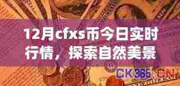 12月CFXS币行情下的自然探索与心灵之旅，实时行情及内心宁静的追寻