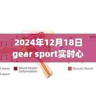 Gear Sport 2024实时心率监测重塑运动体验,引领健康科技新浪潮