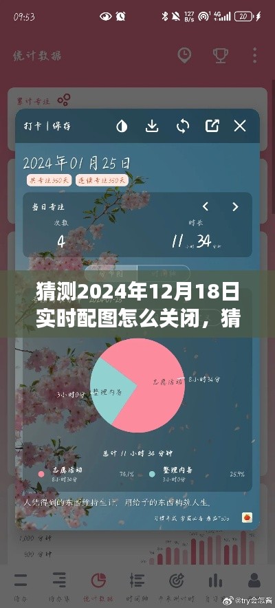 如何关闭和调整实时配图功能,关于2024年动态配图功能的调整详解与猜测