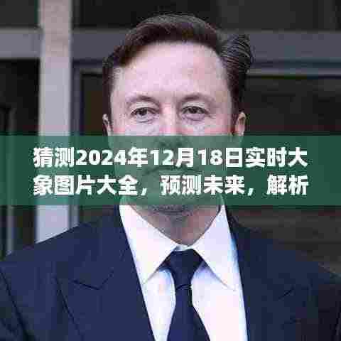 2024年12月18日大象图片趋势预测及影响解析