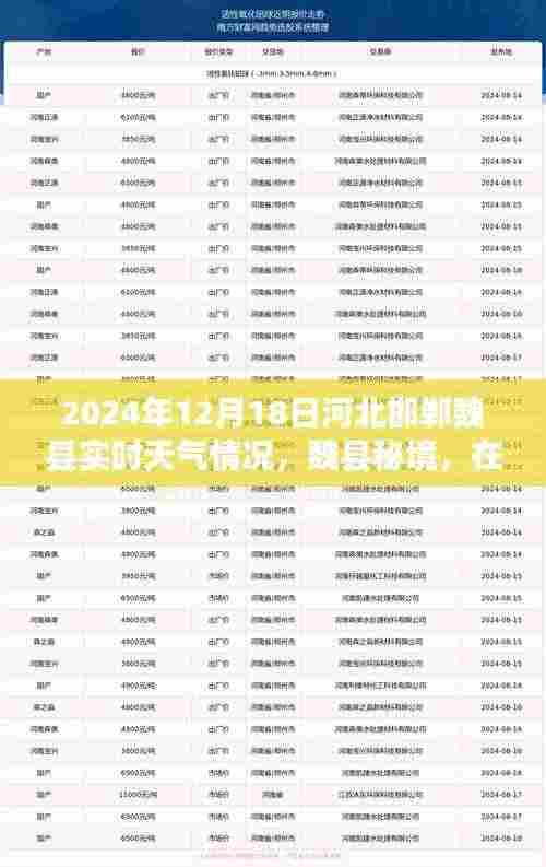 河北邯郸魏县秘境,探寻内心宁静与自然魔法的冬日之旅