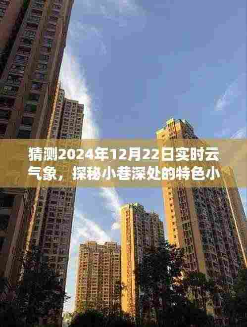 探秘小巷特色小店,揭秘2024年实时云气象下的惊喜邂逅与气象预测探索