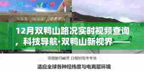 科技导航·双鸭山新视界，智能路况实时视频查询系统，驾驭智能出行新时代