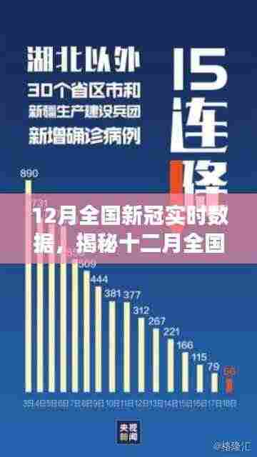 十二月全国新冠实时数据深度解析，趋势洞察与预测