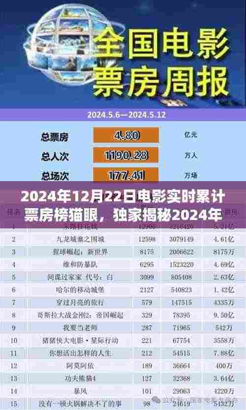 独家揭秘,2024年12月22日电影实时累计票房榜猫眼,数据见证爆款电影的奇迹!