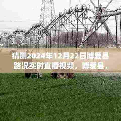 粗心大意 第3页