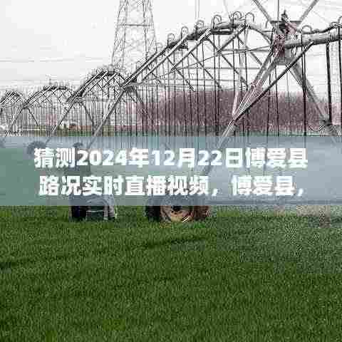 博爱县未来路况预测,2024年12月22日博爱县路况实时直播解析
