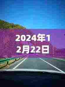 探秘七里坪美食秘境,2024年12月22日实时路况与美食之旅