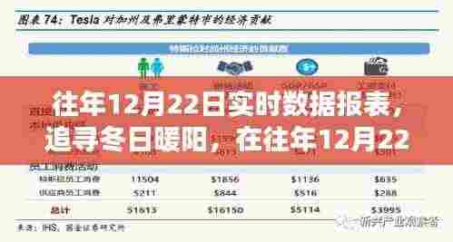 往年12月22日数据报表,冬日暖阳下的自然美景之旅与内心平静的追求