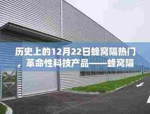 革命性科技产品蜂窝隔热门,颠覆认知的极致体验历程回顾
