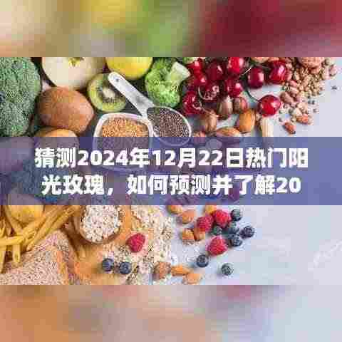 揭秘未来热门阳光玫瑰品种,预测与入门指南到2024年12月22日热门阳光玫瑰品种的选择与了解