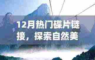 十二月热门碟片，自然美景之旅，探索内心宁静与喜悦的奇妙旅程