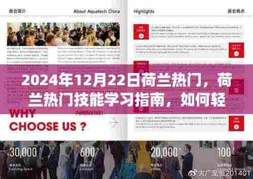 荷兰热门技能学习指南,迈向成功的任务技能掌握之路(适用于初学者与进阶用户)