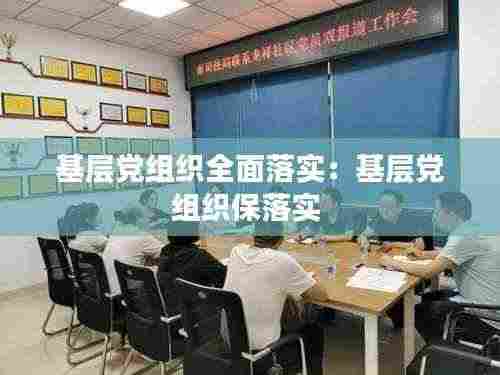 基层党组织全面落实：基层党组织保落实 