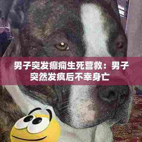 男子突发癫痫生死营救:男子突然发疯后不幸身亡