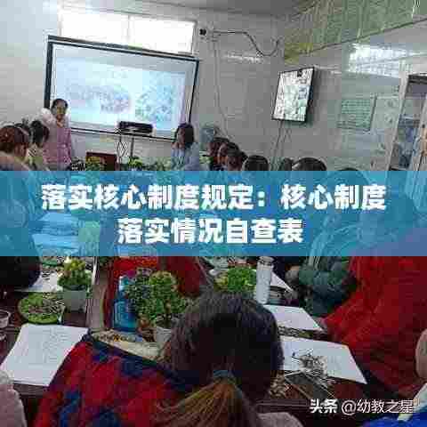 落实核心制度规定:核心制度落实情况自查表