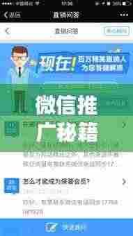微信推广秘籍,引爆社交圈,开启影响力新纪元!