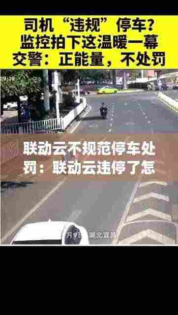 联动云不规范停车处罚:联动云违停了怎么办