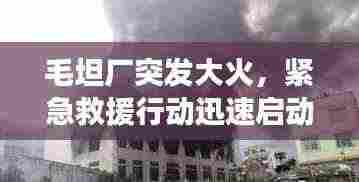 毛坦厂突发大火,紧急救援行动迅速启动,现场情况如何?
